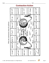 Contraction Action