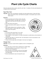 Life Cycle Charts