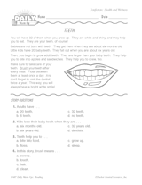 Health Reading Warm-Up: Teeth