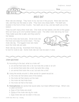 Nonfiction Reading Warm-Up: The Mole Rat