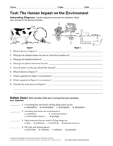 The Human Impact on the EnvironmentTest