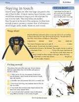 Insect Activities: Staying in Touch