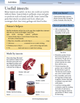 Useful Insects