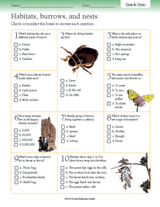 Insect Habitats, Burrows, and Nests Quiz